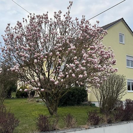 W&P Living Wohnung Mit Ausblick - Parkplatz Biberbach  外观 照片